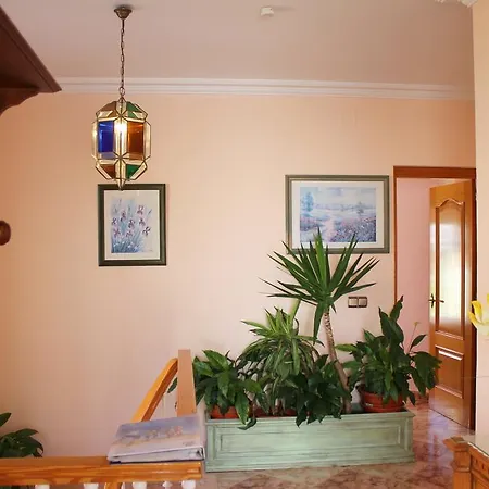 Mercedes Exotica Villa Nerja